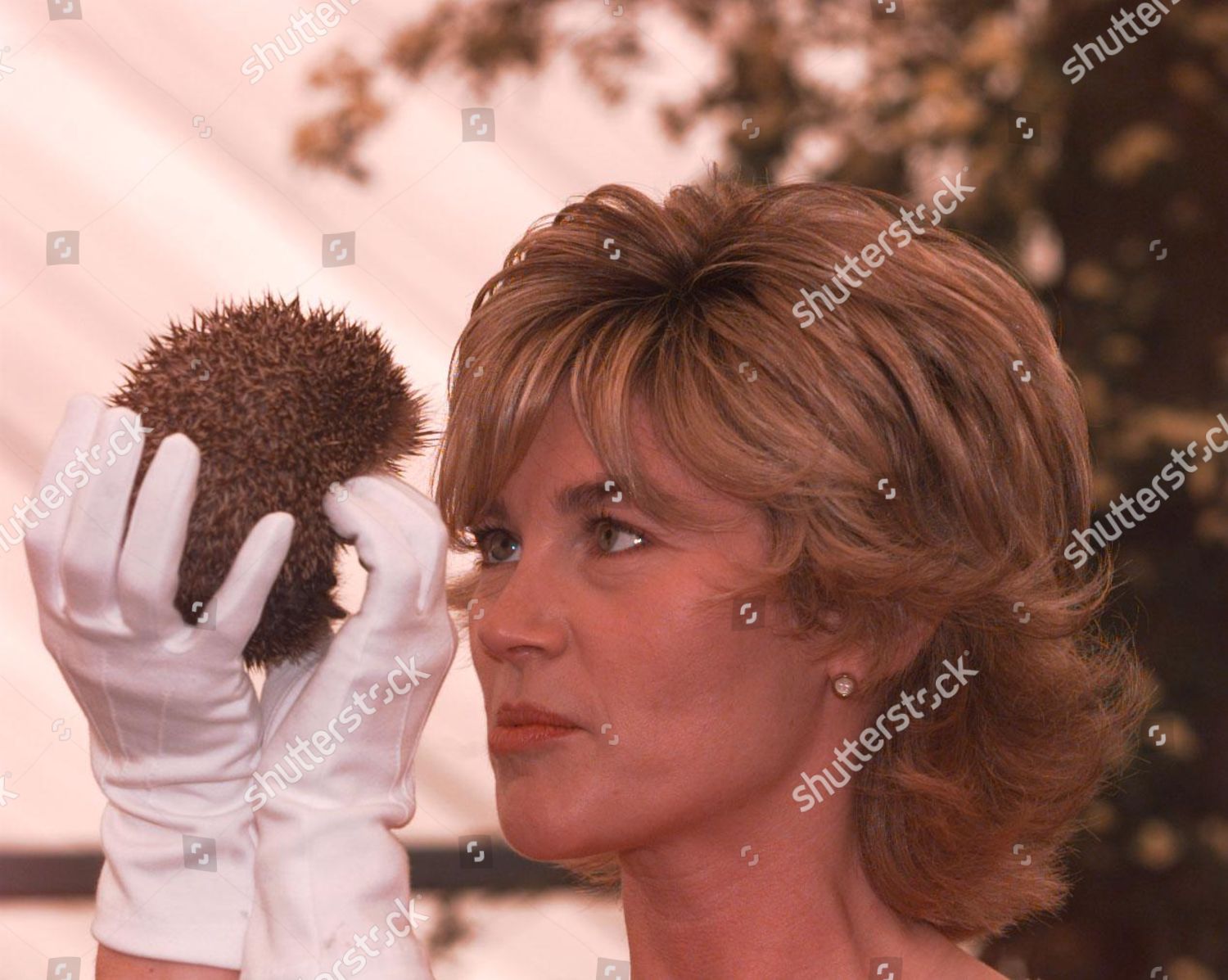 Chelsea Flower Show Anthea Turner Launches Editorial Stock Photo