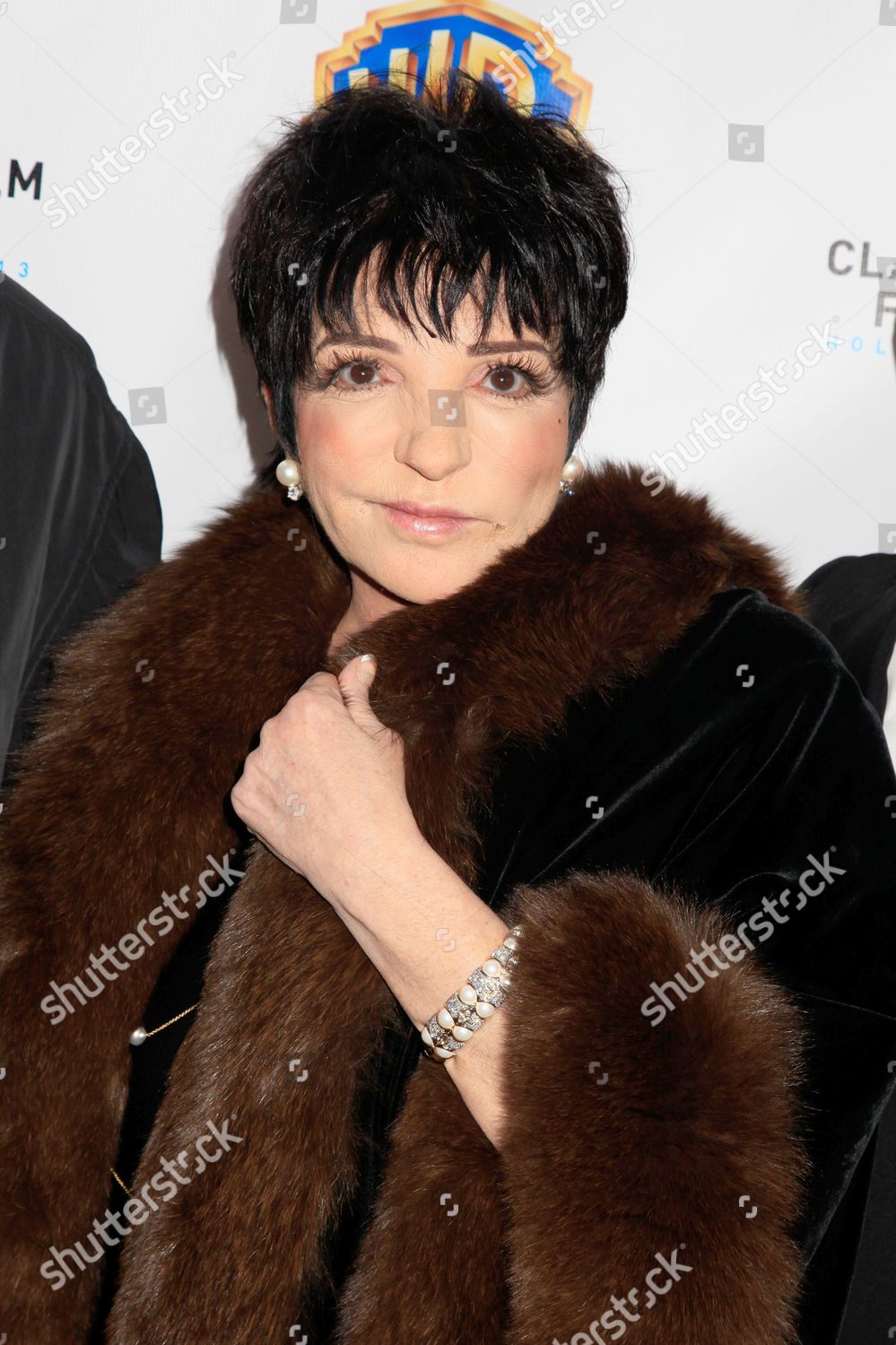 Liza Minnelli Editorial Stock Photo - Stock Image | Shutterstock