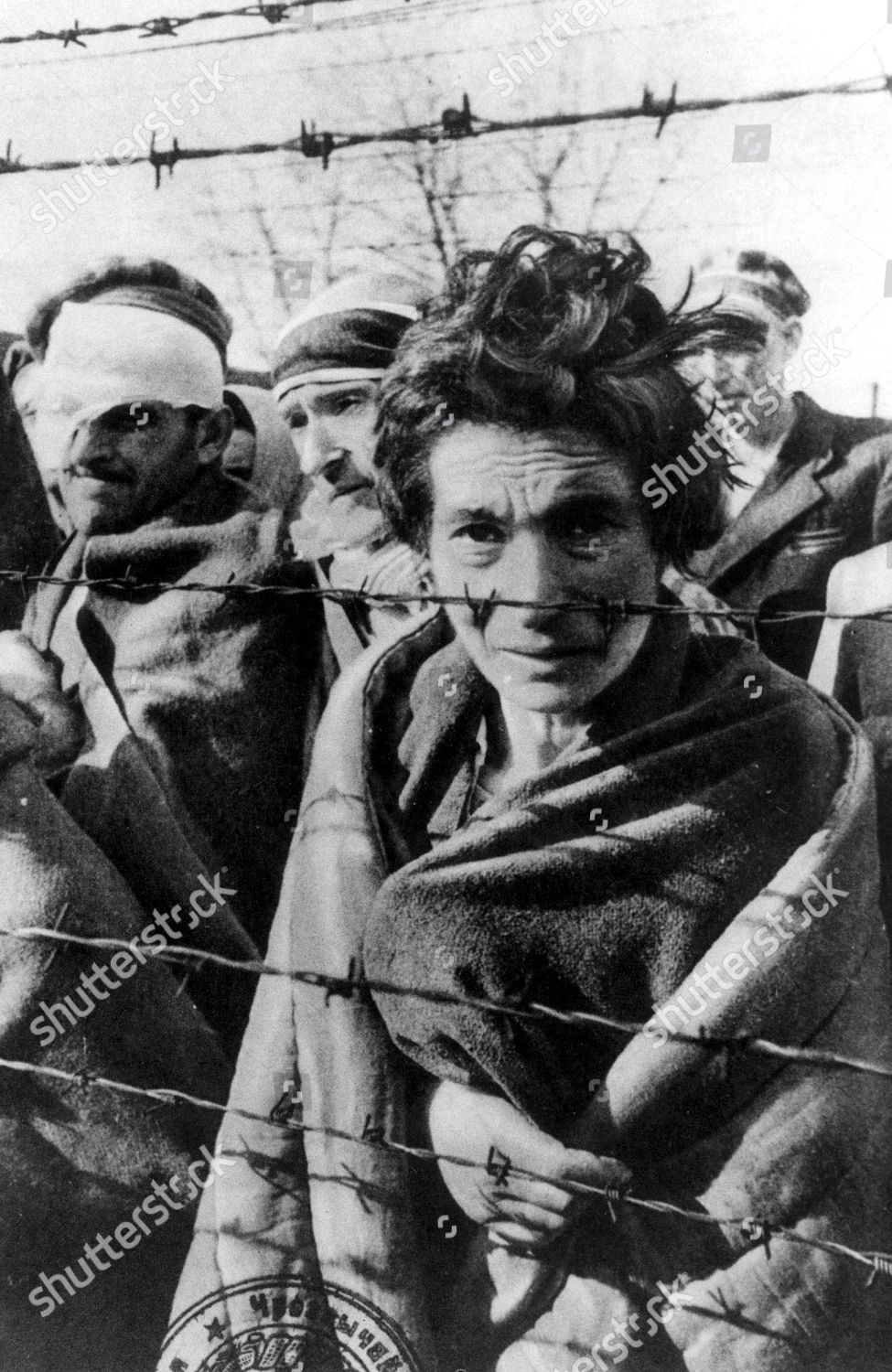 Child Prisoners Different Countries Auschwitz Concentration Editorial Stock Photo Stock Image Shutterstock