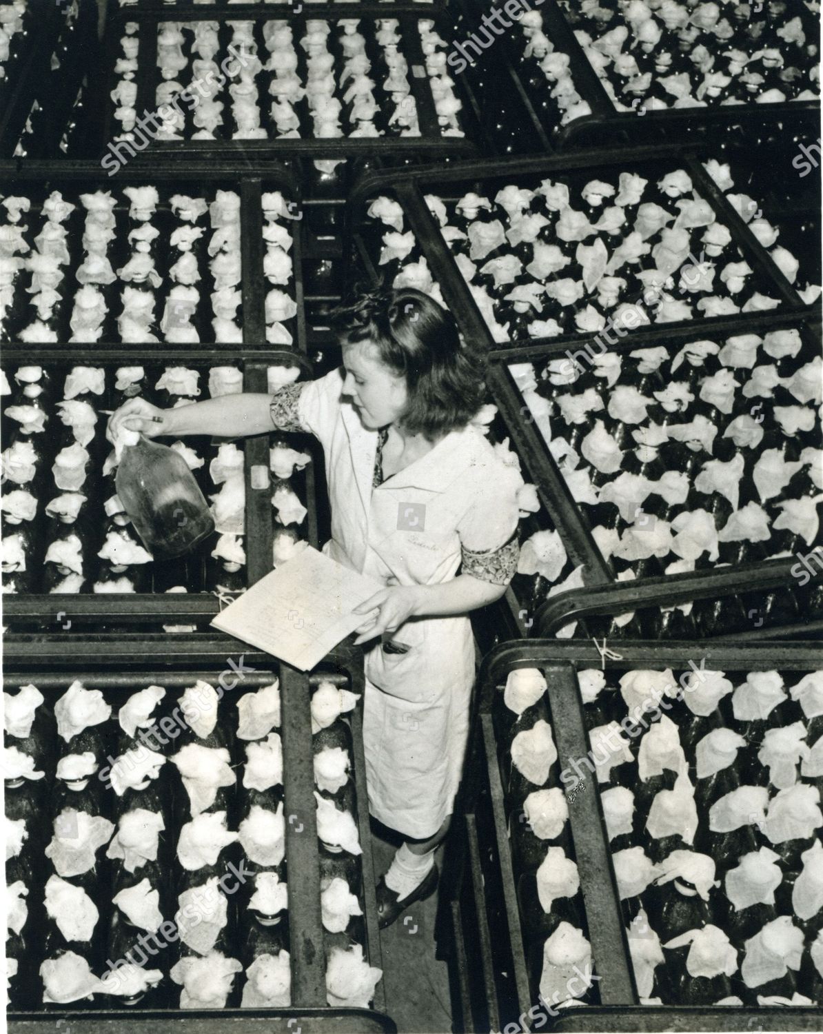 Mash Cooling After Autoclaving Prior Inoculation Editorial Stock Photo Stock Image Shutterstock