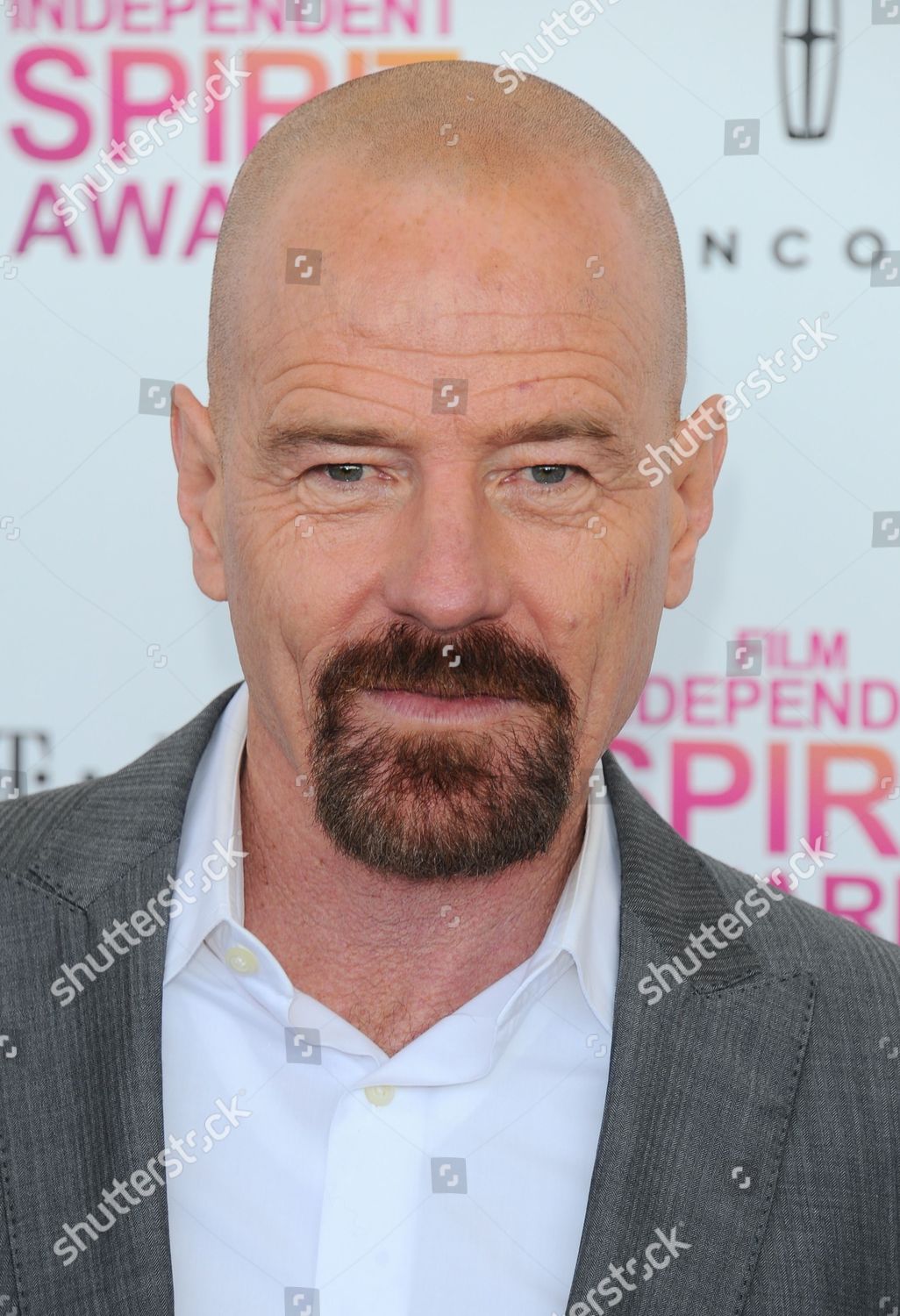 Bryan Cranston Editorial Stock Photo - Stock Image 