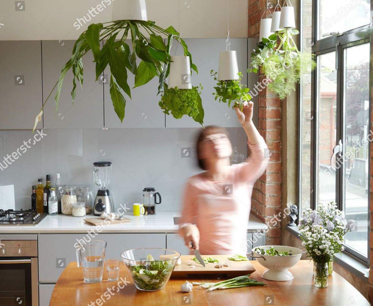 Some Upside Down Planters By Patrick Morris Editorial Stock