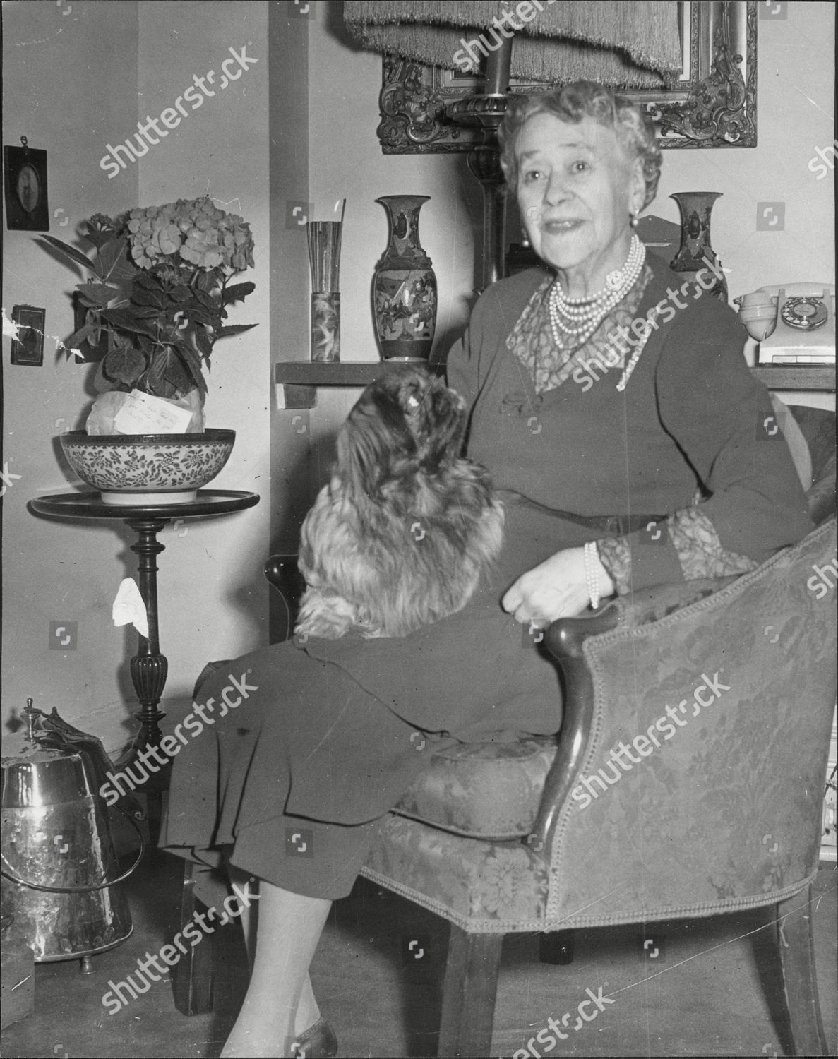 Sylvia Grey Sylvia Grey