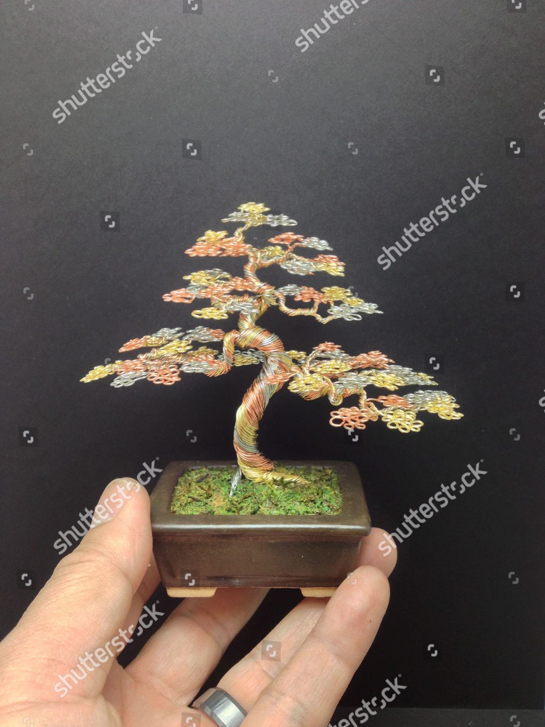 Copper Wire Bonsai Tree By Ken Editorial Stock Photo Stock Image Shutterstock