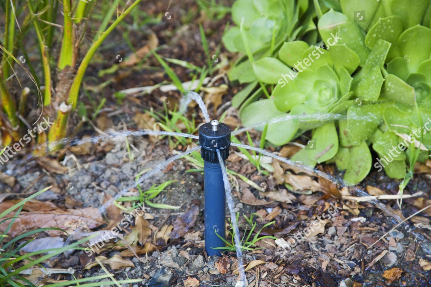 Herbert Williams Fire Sprinkler System, Fire Extinguishers, and ...