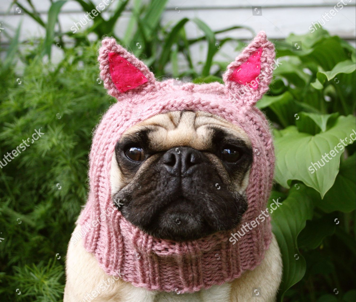 pugs hat company