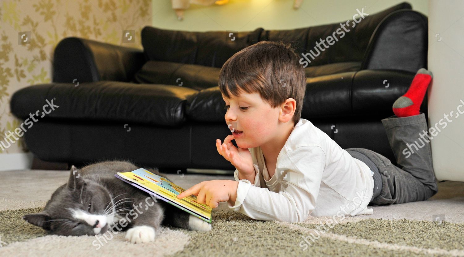 Мальчик играет с котом