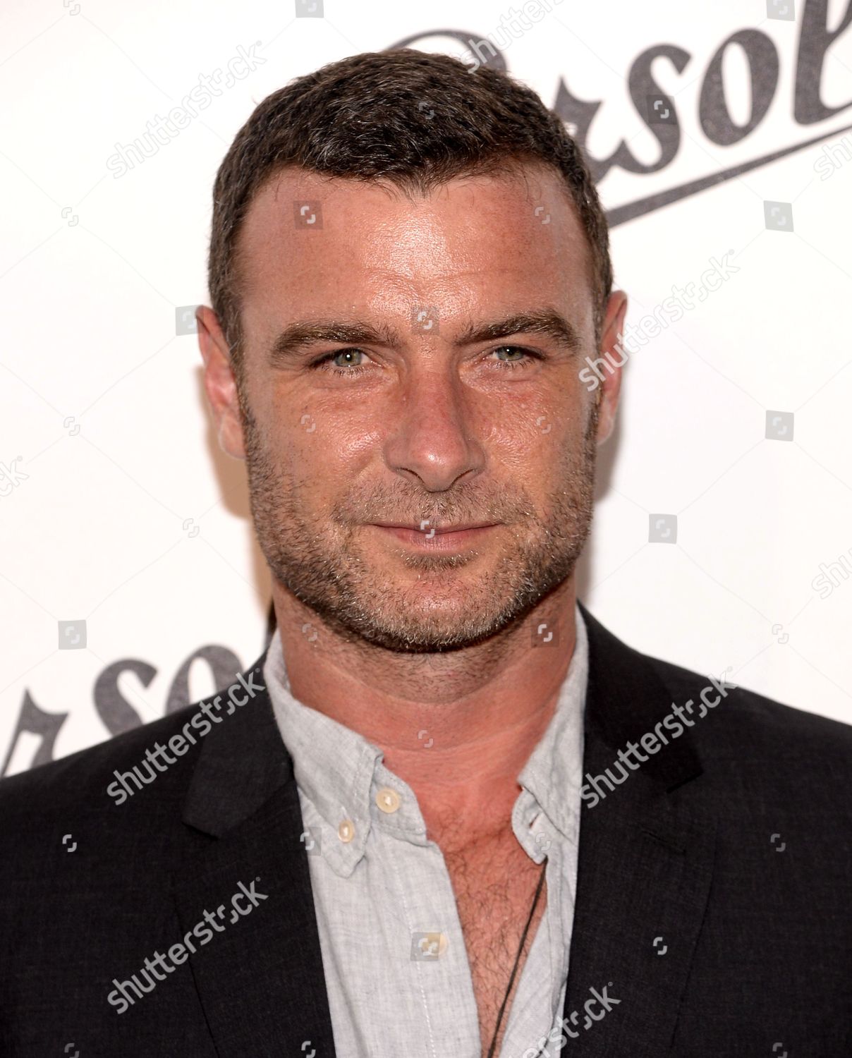Liev Schreiber Editorial Stock Photo - Stock Image | Shutterstock