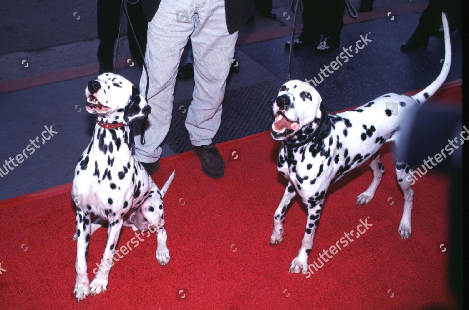 101 dalmatians 1996