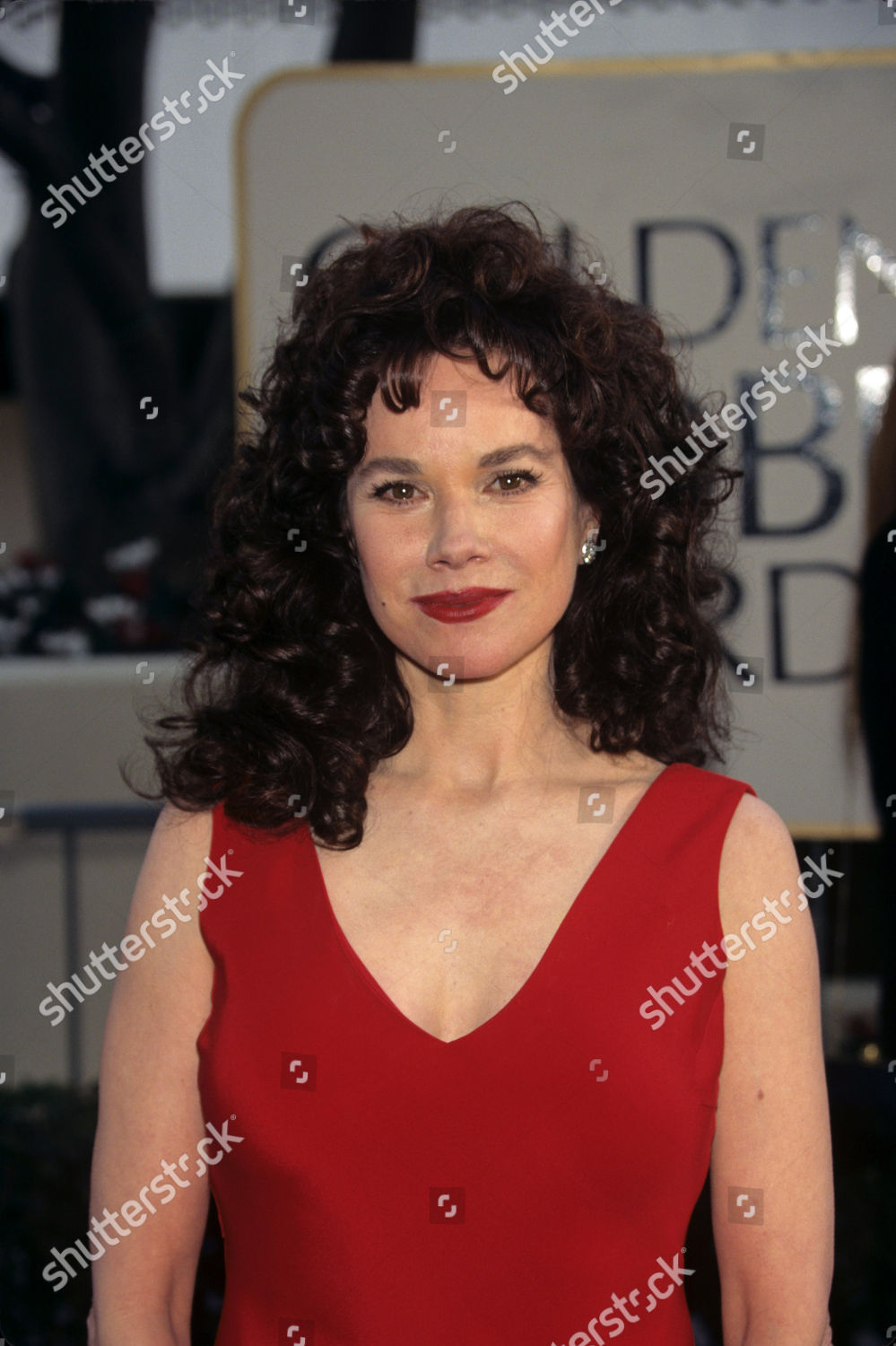 Barbara Hershey Editorial Stock Photo - Stock Image | Shutterstock