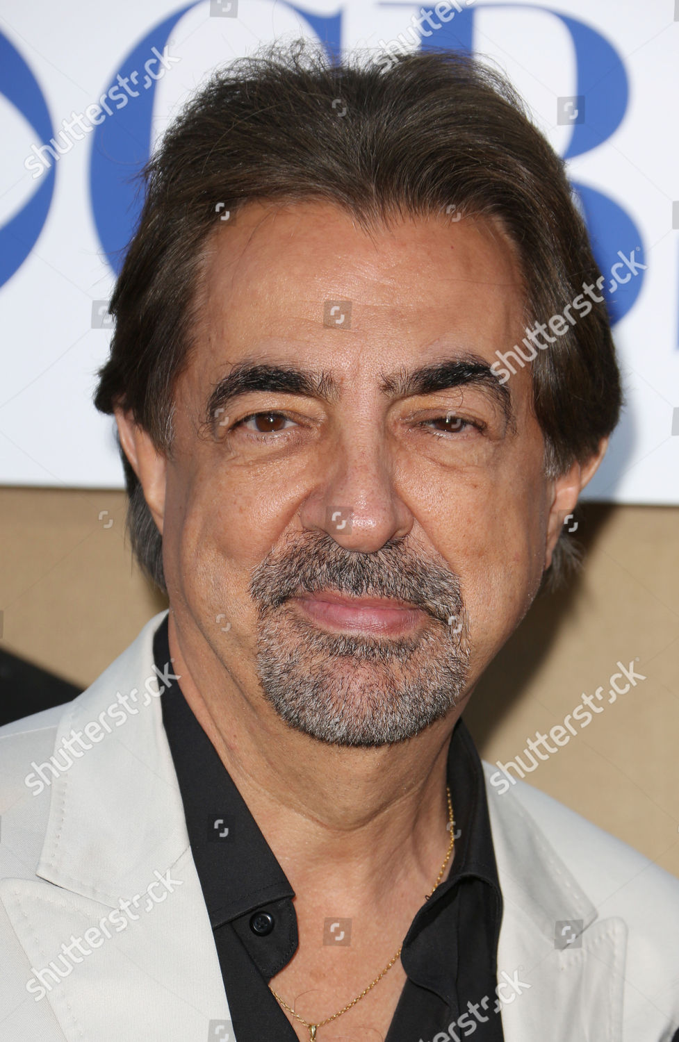 Joe Mantegna Editorial Stock Photo - Stock Image | Shutterstock