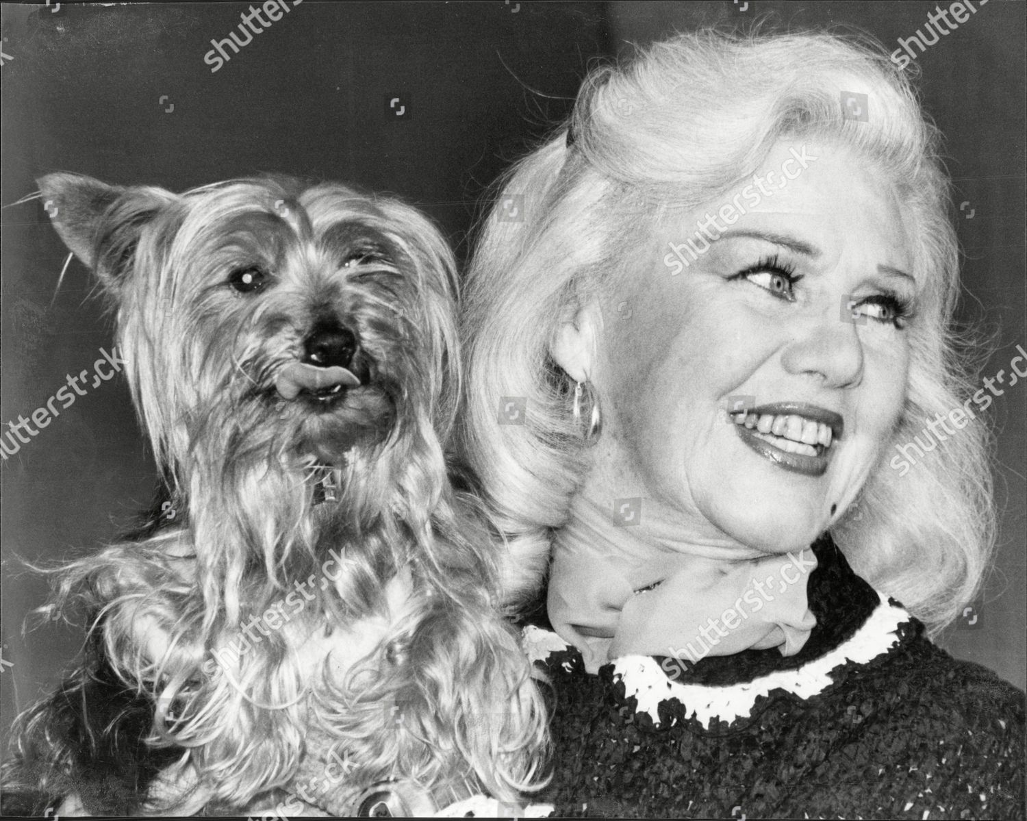 https://editorial01.shutterstock.com/wm-preview-1500/2776157a/4fb9070a/actress-ginger-rogers-with-her-pet-yorkshire-terrier-sampson-in-london-ginger-rogers-born-virginia-katherine-mcmath-july-16-1911-oo-april-25-1995-was-an-american-actress-dancer-and-singer-who-appeared-in-film-and-on-stage-radio-and-television-thro-shutterstock-editorial-2776157a.jpg