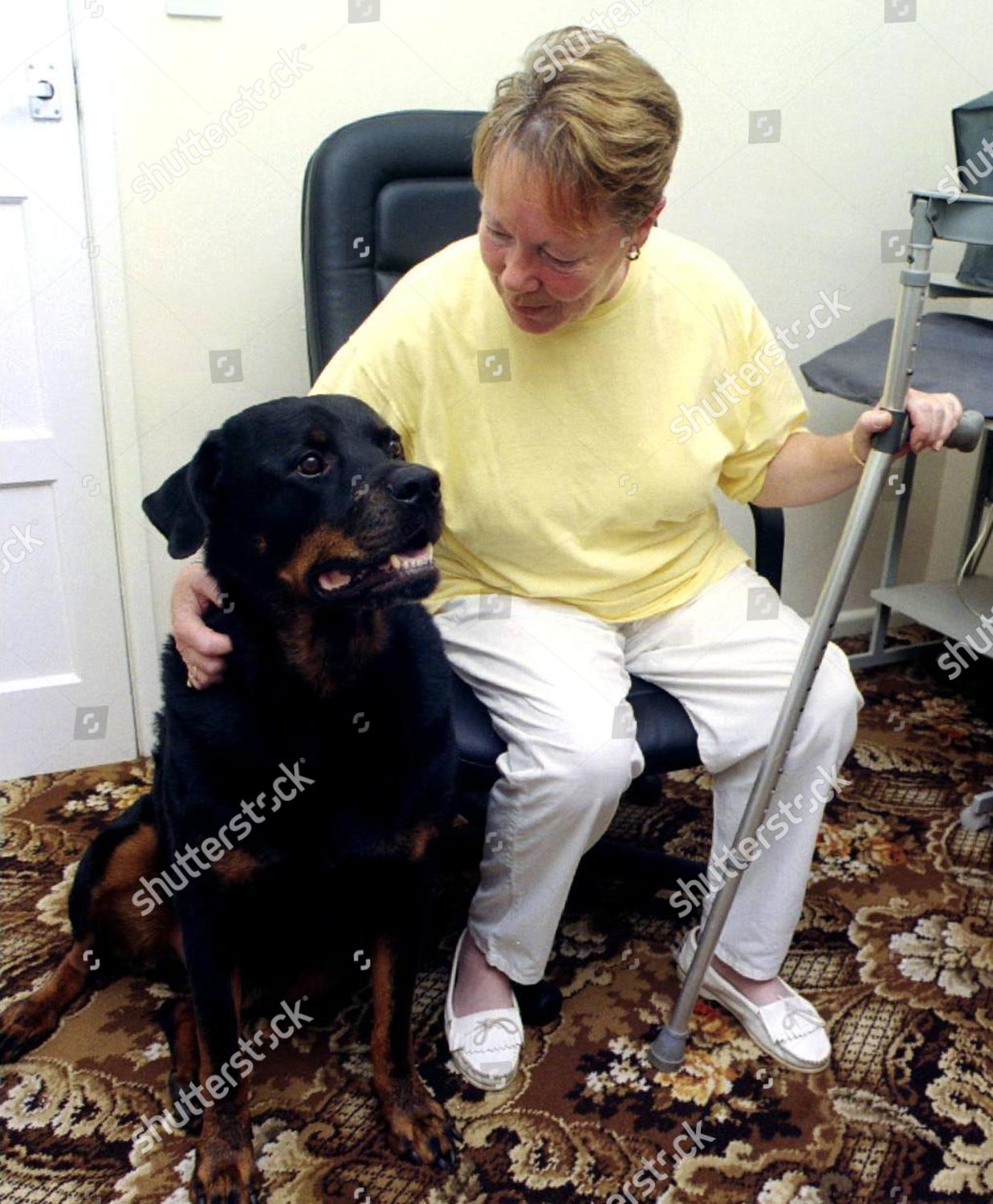 are rottweilers good helping disabled people dogs