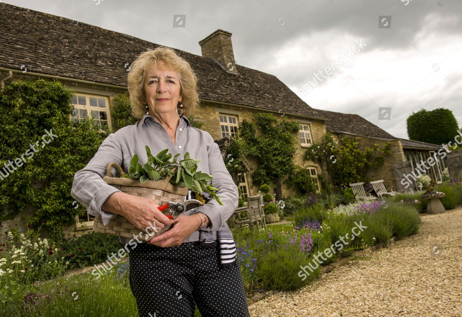 Judith Hann Editorial Stock Photo - Stock Image | Shutterstock