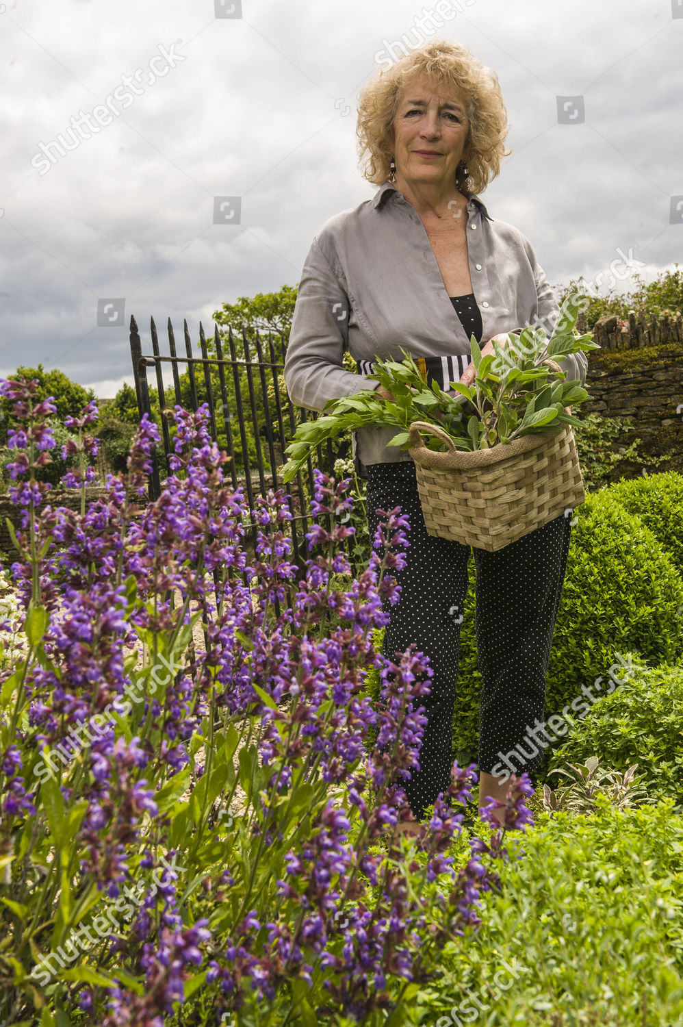 Judith Hann Editorial Stock Photo - Stock Image | Shutterstock