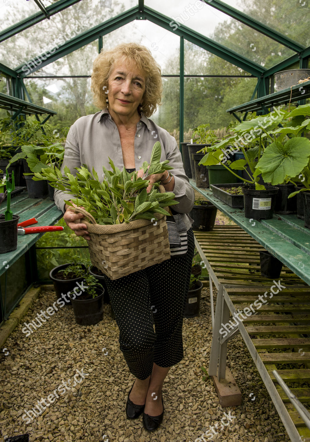 Judith Hann Editorial Stock Photo - Stock Image | Shutterstock