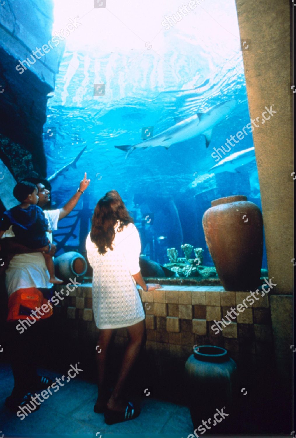 Underwater Hotel Aquarium Editorial Stock Photo Stock