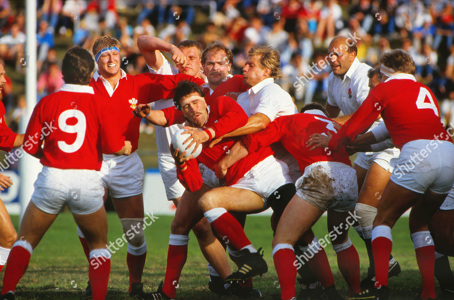 Rugby Union 1987 Rugby World Cup Editorial Stock Photo Stock Image
