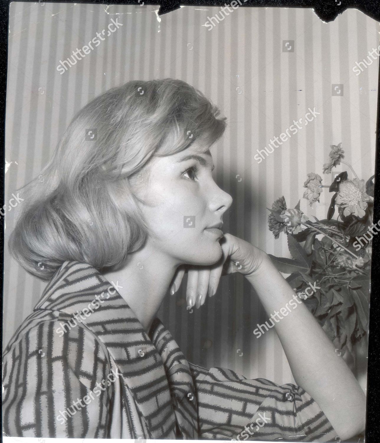 Susan Hampshire Actress Susan Hampshire Editorial Stock Photo Stock Image Shutterstock