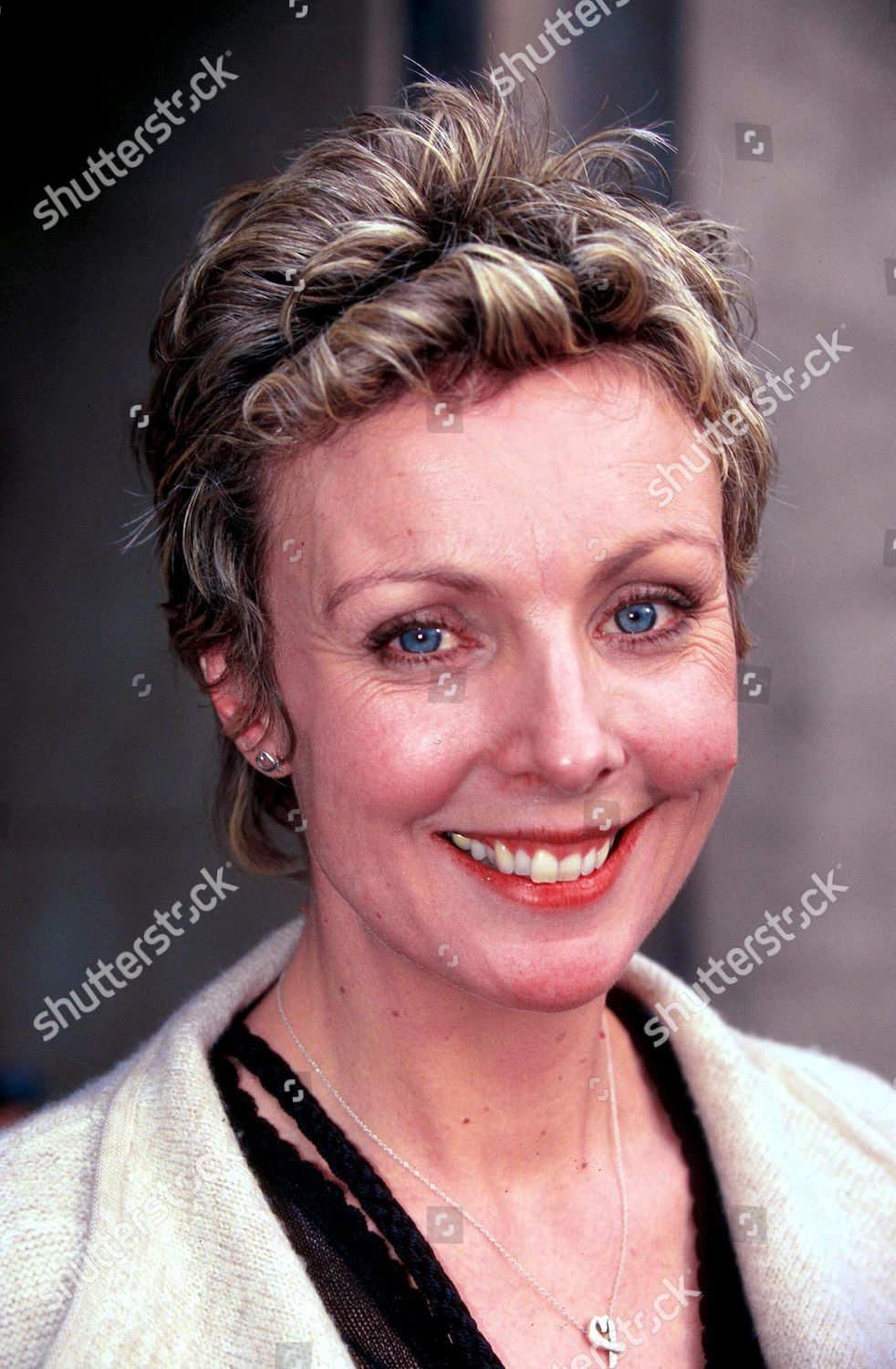 Anne Davies 2000 Editorial Stock Photo Stock Image Shutterstock