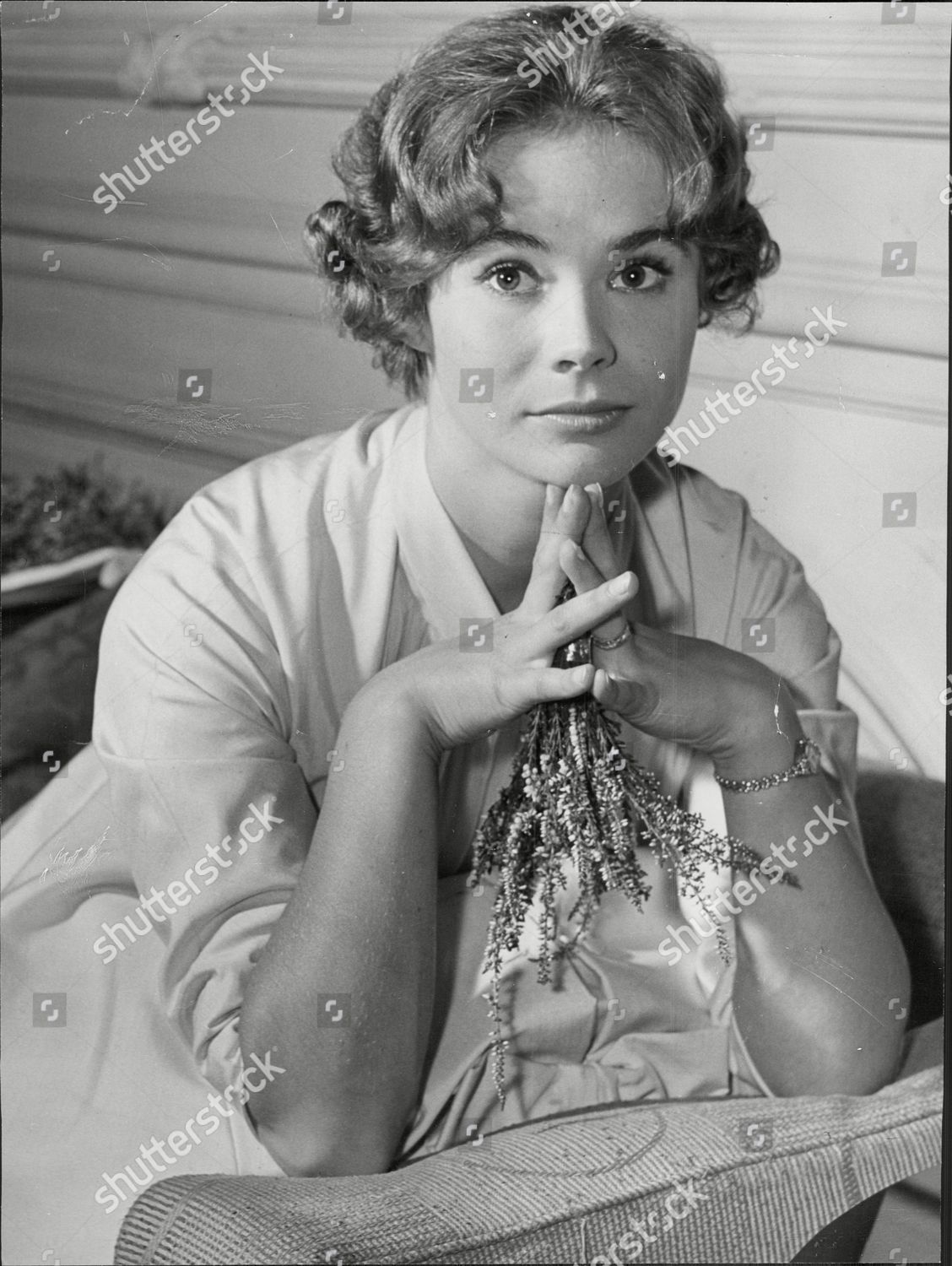 Actress Heather Sears Heather Christine Sears Editorial Stock Photo