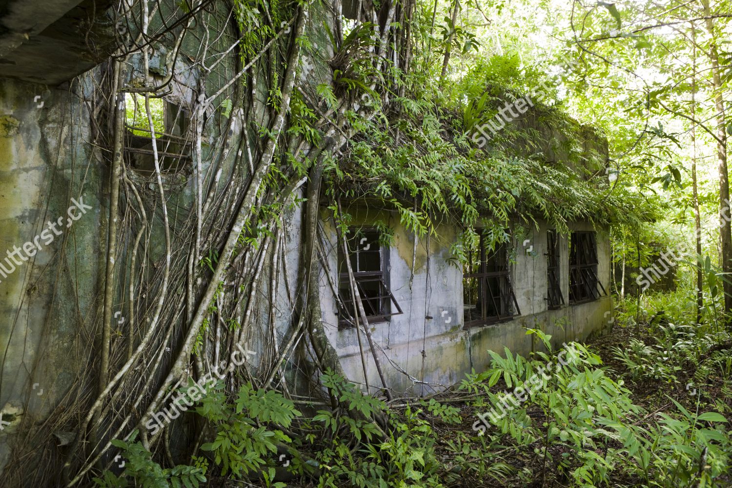 japanese-headquarters-second-world-war-peleliu-editorial-stock-photo