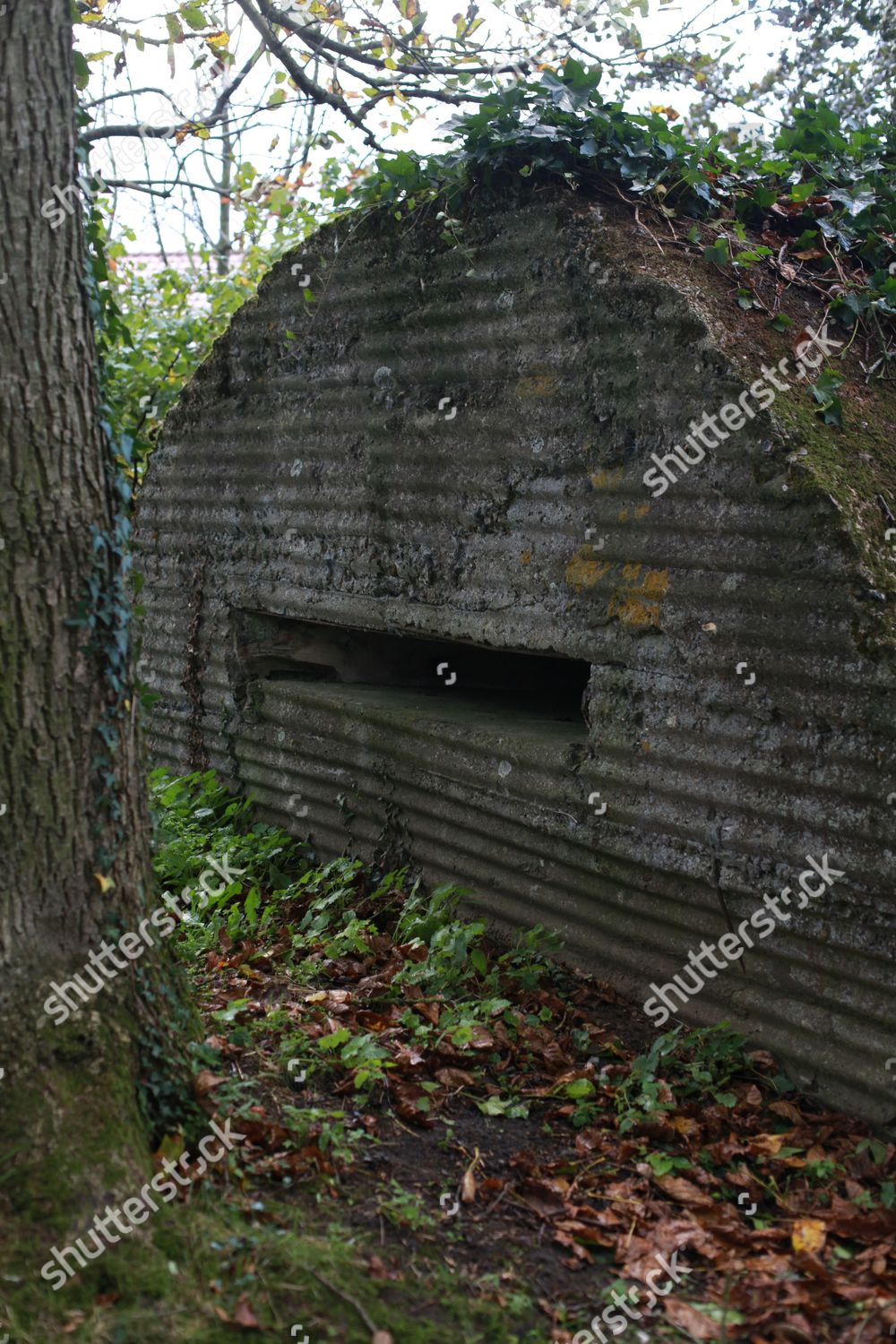 Observation Bunker Flanders Fields Belgium Editorial Stock Photo ...