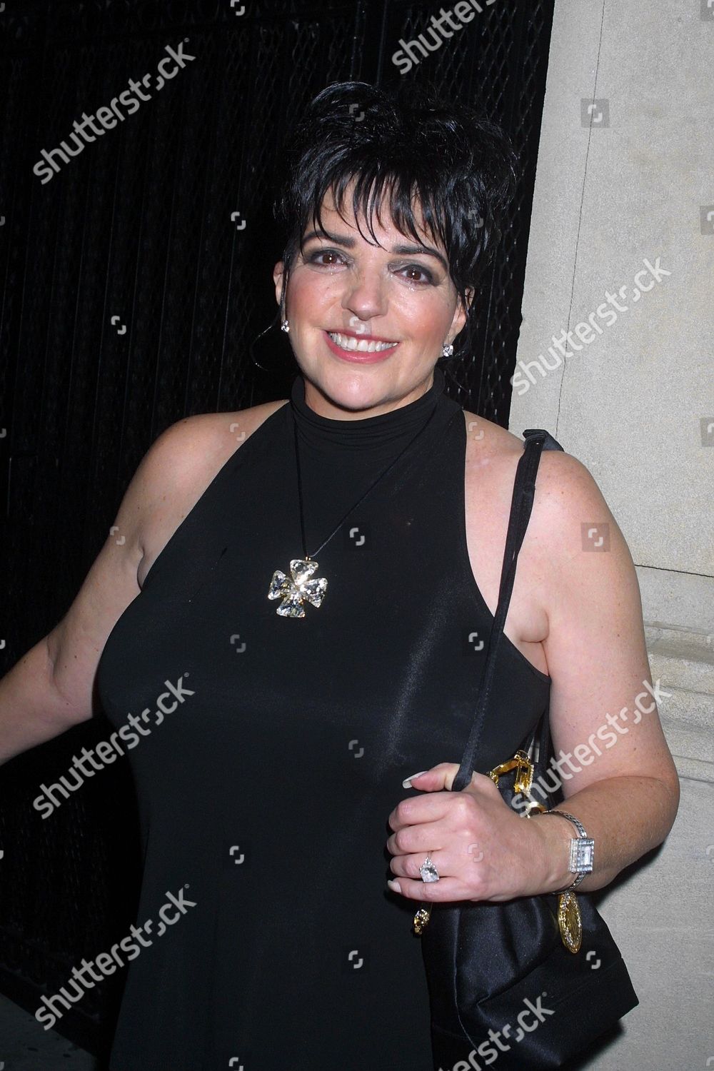 Liza Minnelli Manhattan Nightclub Debut Susan Editorial Stock Photo ...