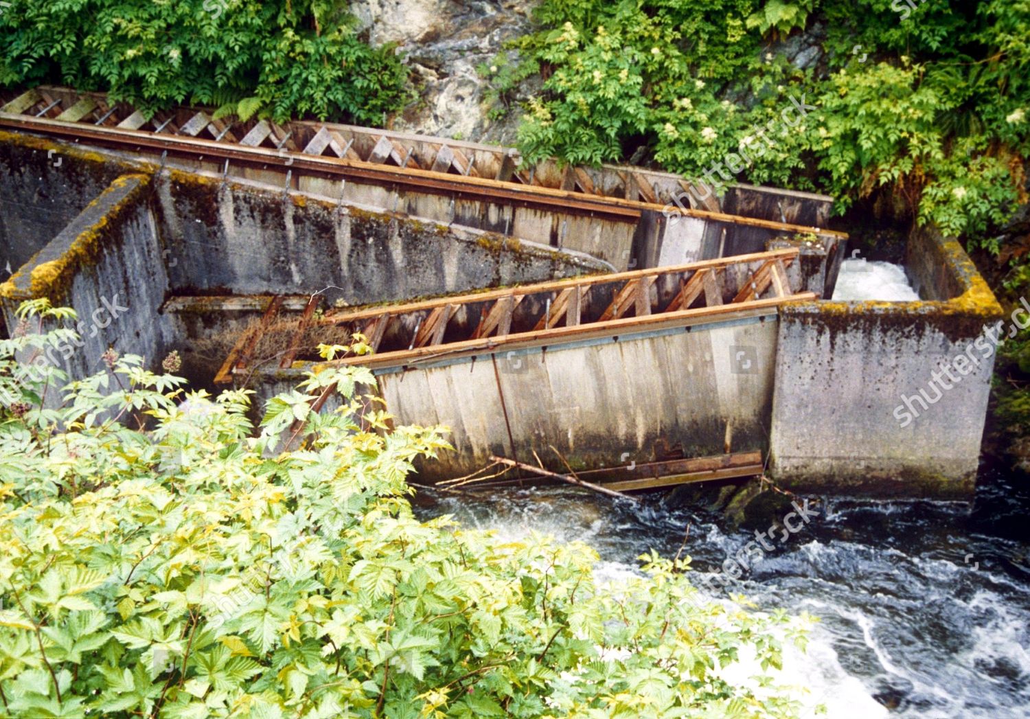 Ketchikan Salmon Fish Ladder Editorial Stock Photo - Stock Image