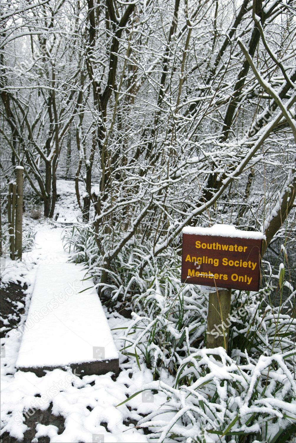 Editorial Who Is Looking Out For These >> Overnight Snow Sussex Left Parts County Looking Editorial Stock Editorial Who Is Looking Out For These >> Overnight Snow Sussex Left Parts County Looking Editorial Stock