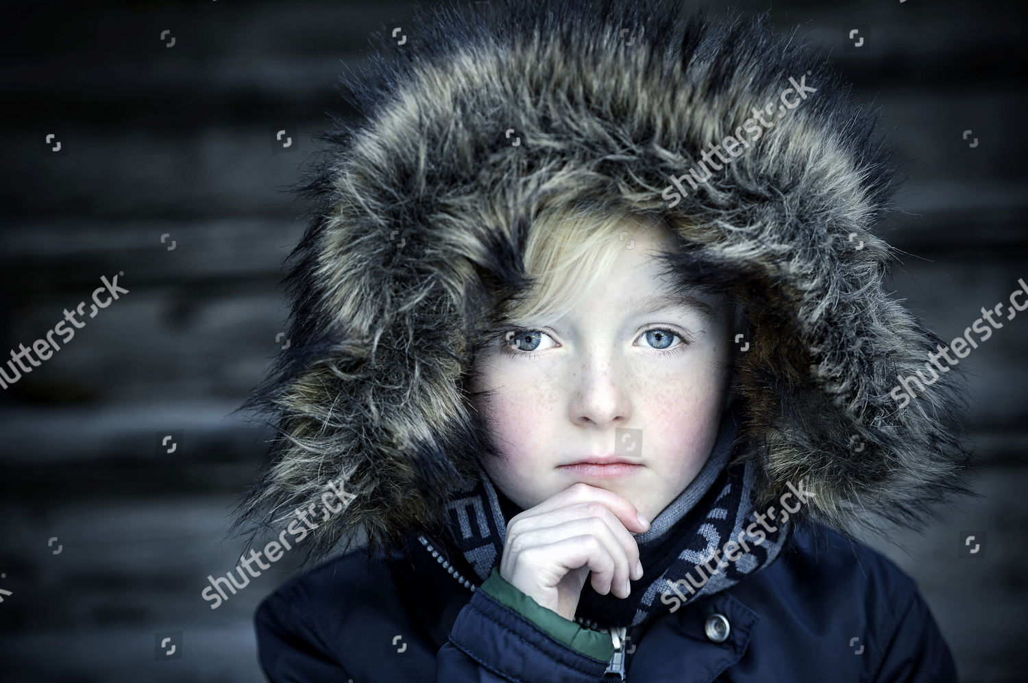 model-released-boy-7-years-fur-editorial-stock-photo-stock-image