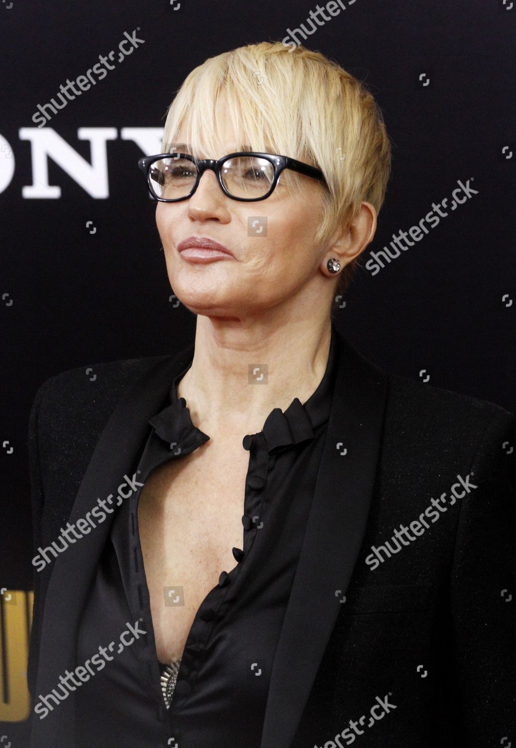 Ellen Barkin Editorial Stock Photo - Stock Image | Shutterstock
