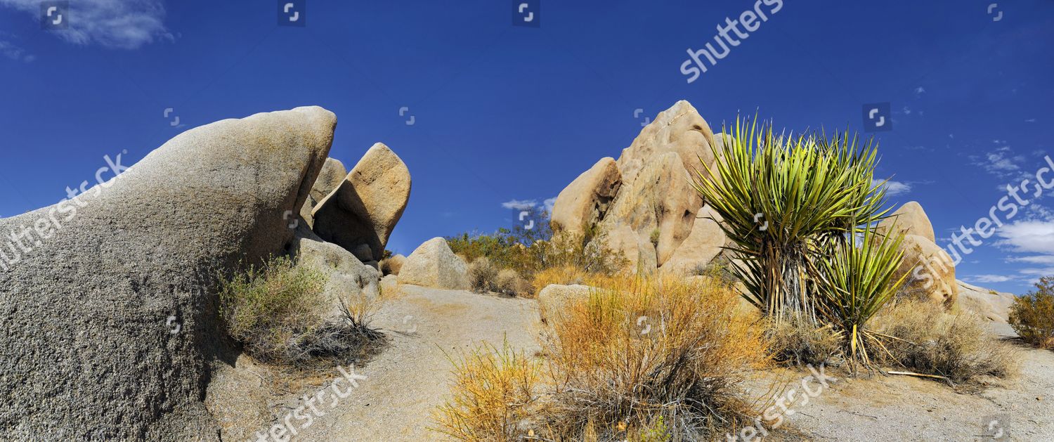 Huge Granite Rocks Split Rocks Green Editorial Stock Photo - Stock ...