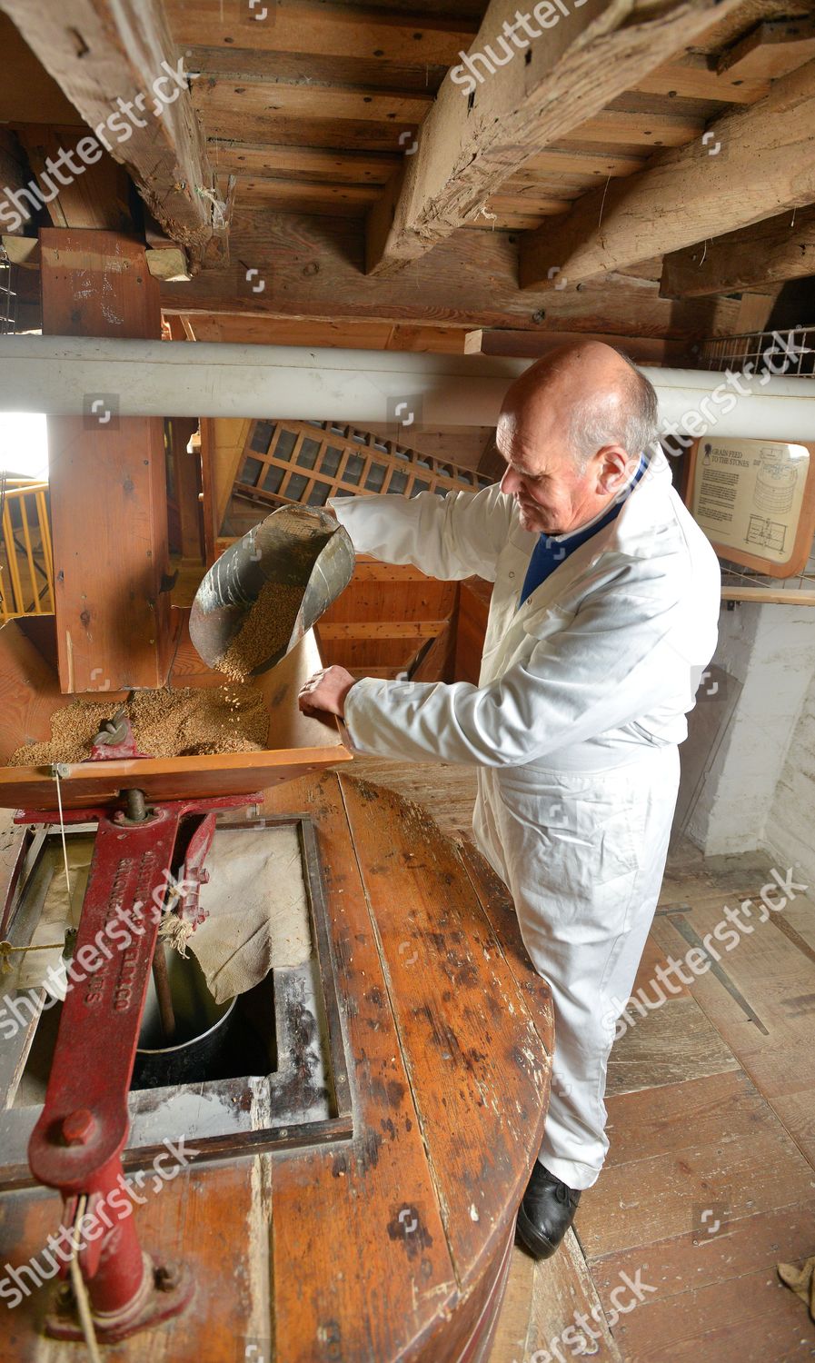 Miller David Plunkett Feeding Grain Into Editorial Stock Photo Stock