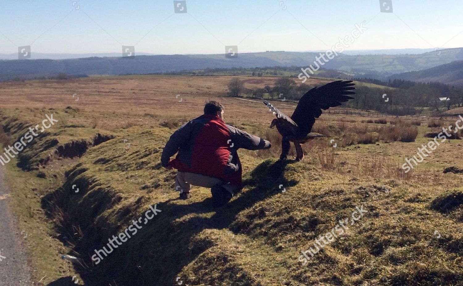 Jason Mulvey Approaches Golden Eagle Editorial Stock Photo