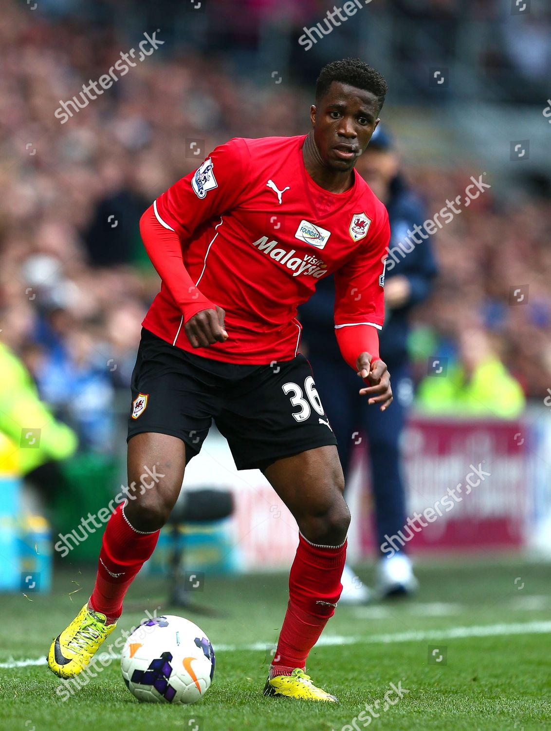 Wilfried Zaha Cardiff City Editorial Stock Photo - Stock Image ...