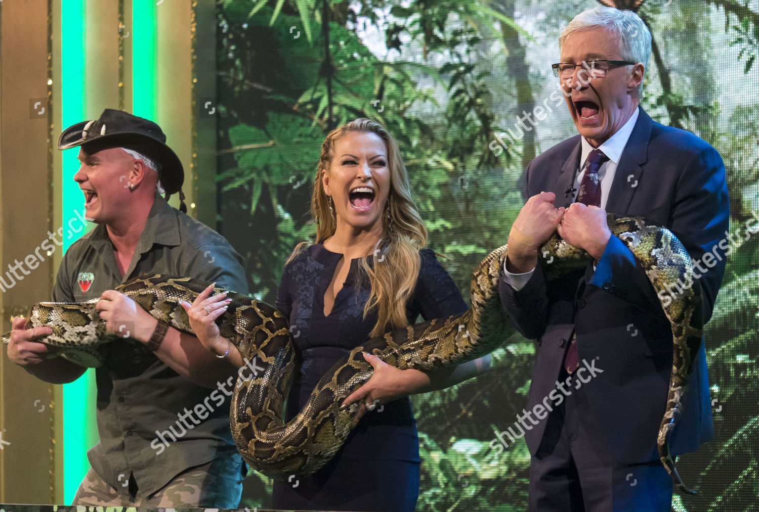 Anastacia Paul Ogrady 30 Foot Python Editorial Stock Photo - Stock ...