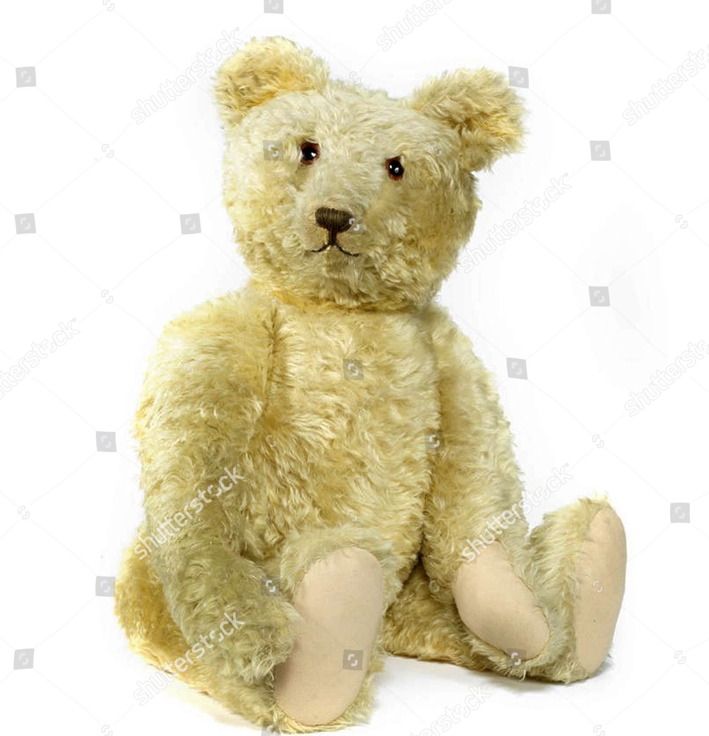 1920s Steiff Teddy Bear Editorial Stock Photo - Stock Image | Shutterstock