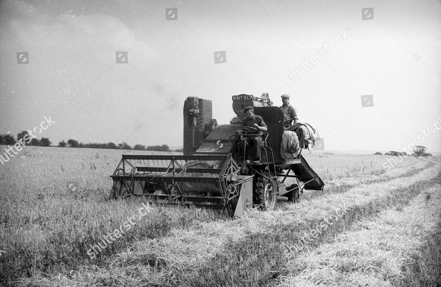 Massey Harris Combine Harvester Farmer Harvesting Editorial Stock Photo ...