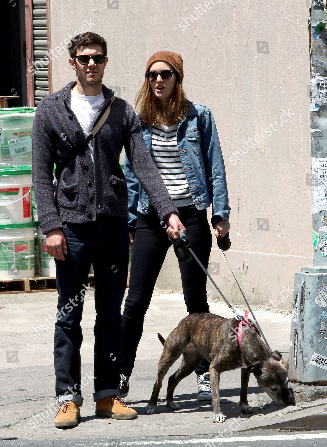 Adam Brody Leighton Meester Dogs Penny Lane Editorial Stock Photo Stock Image Shutterstock