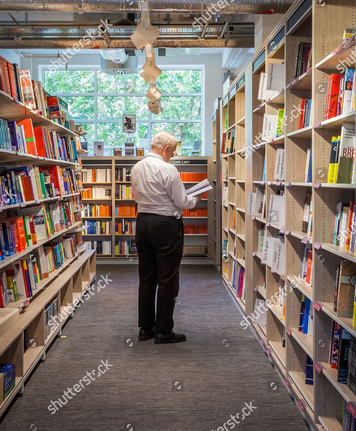 Customer Browses Books Editorial Stock Photo Stock Image