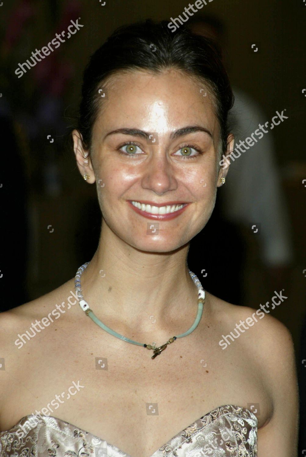 Diane Farr Editorial Stock Photo - Stock Image | Shutterstock