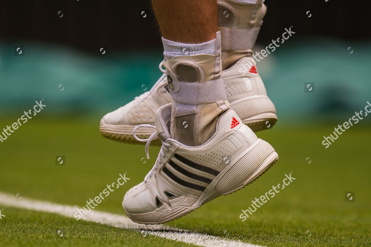Adidas Tennis Shoes Andy Murray Gbr Foto de stock de contenido editorial: imagen de stock Shutterstock