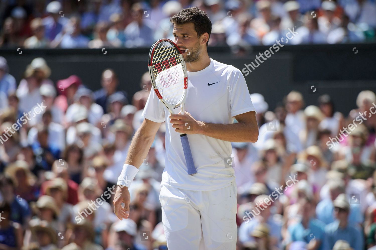 Grigor Dimitrov Bul Bites His Racquet Editorial Stock Photo - Stock ...