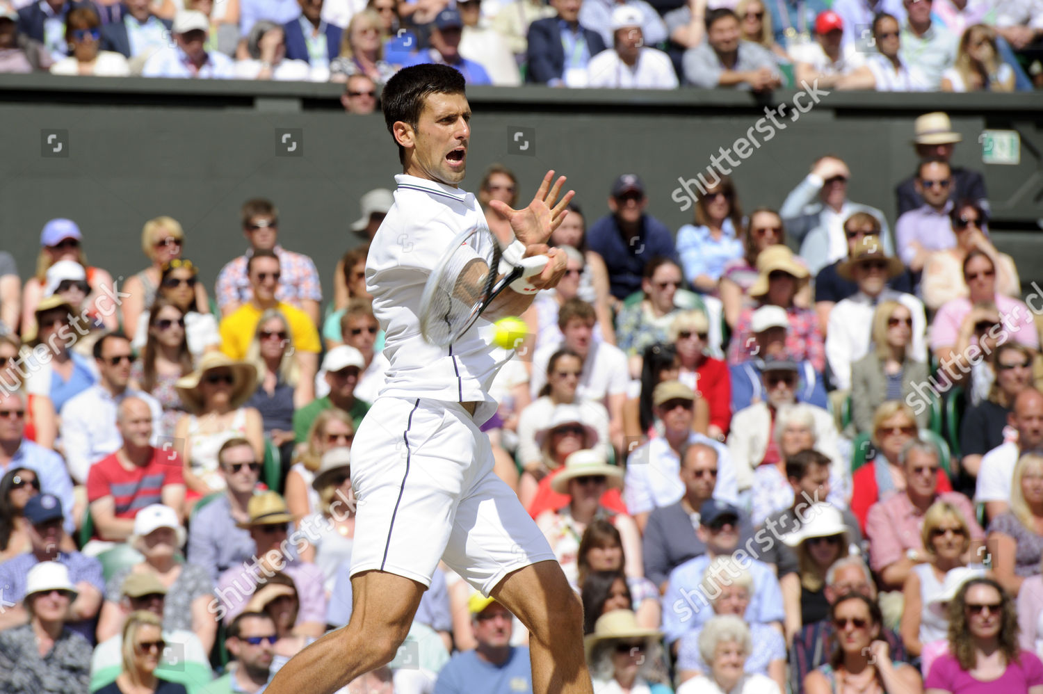 Novak Djokovic Editorial Stock Photo - Stock Image | Shutterstock