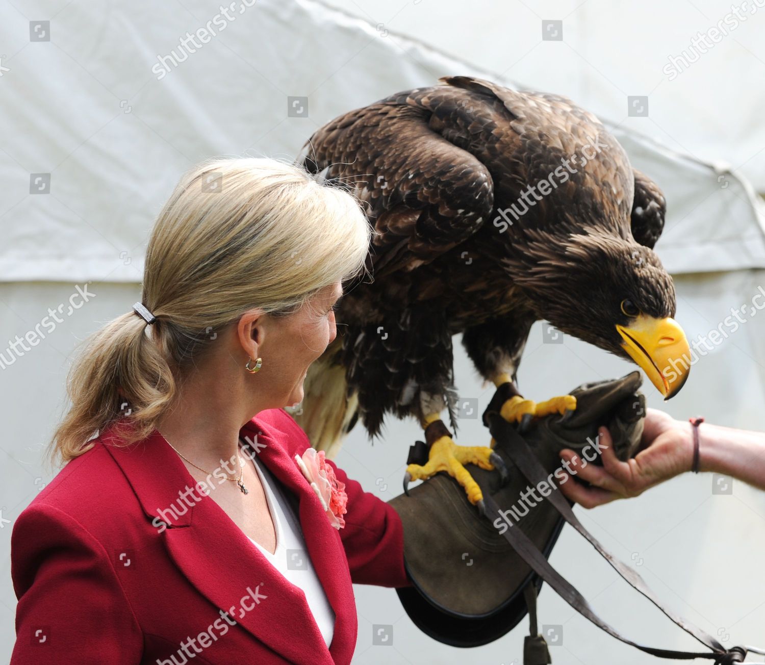 Sophie Countess Wessex Holds Sea Eagle One Editorial Stock