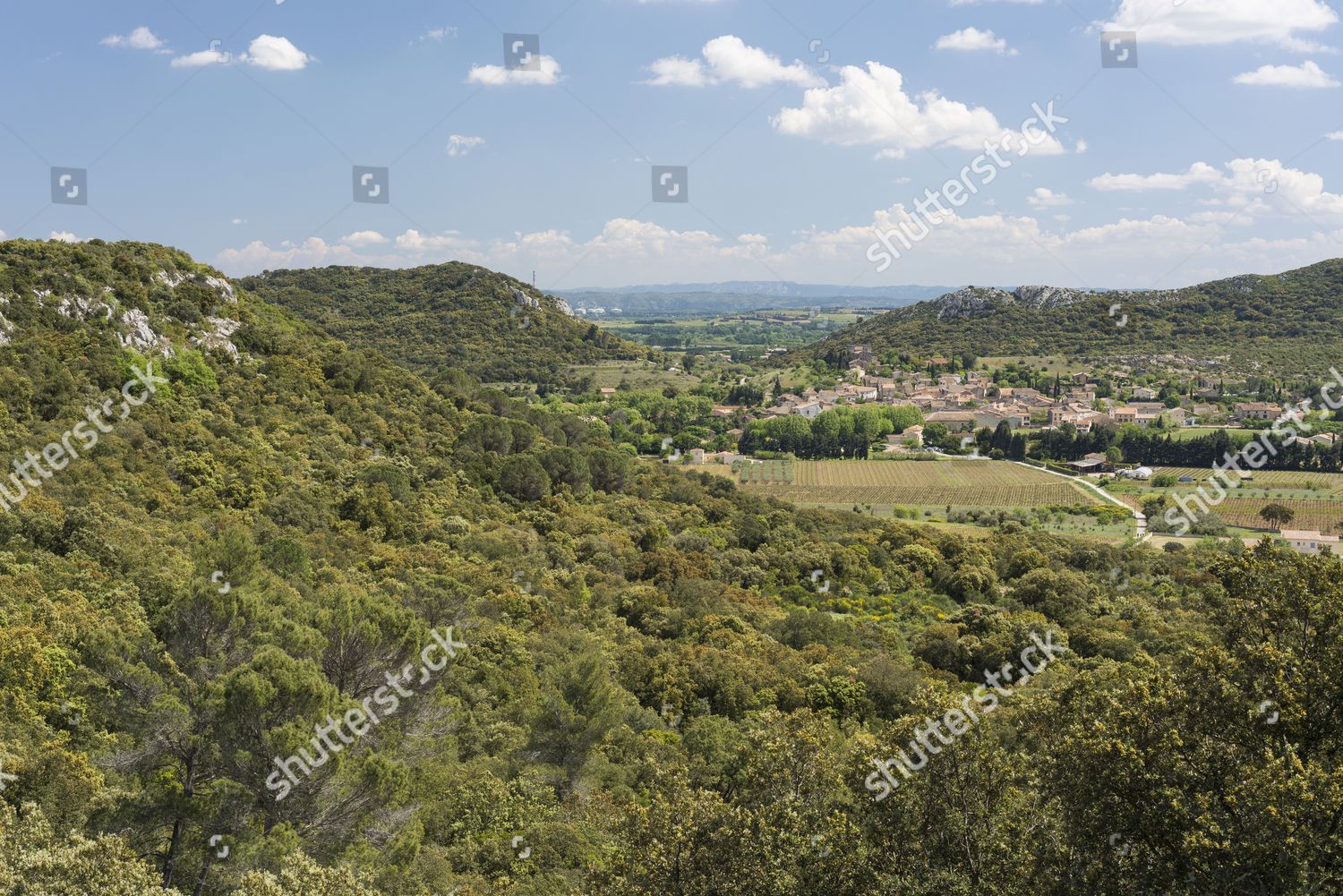 Typical Garrigue Scrubland Landscape Southern France Editorial Stock ...