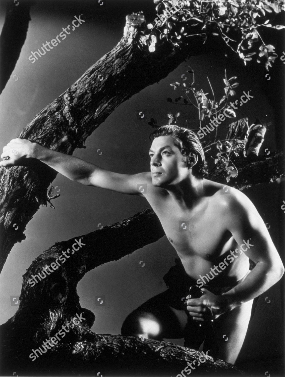Tarzan 1932 Tarzan 1932