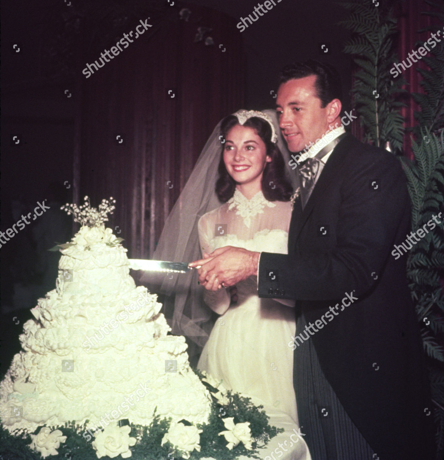Pier Angeli Vic Damone Wedding Editorial Stock Photo Stock Image Shutterstock