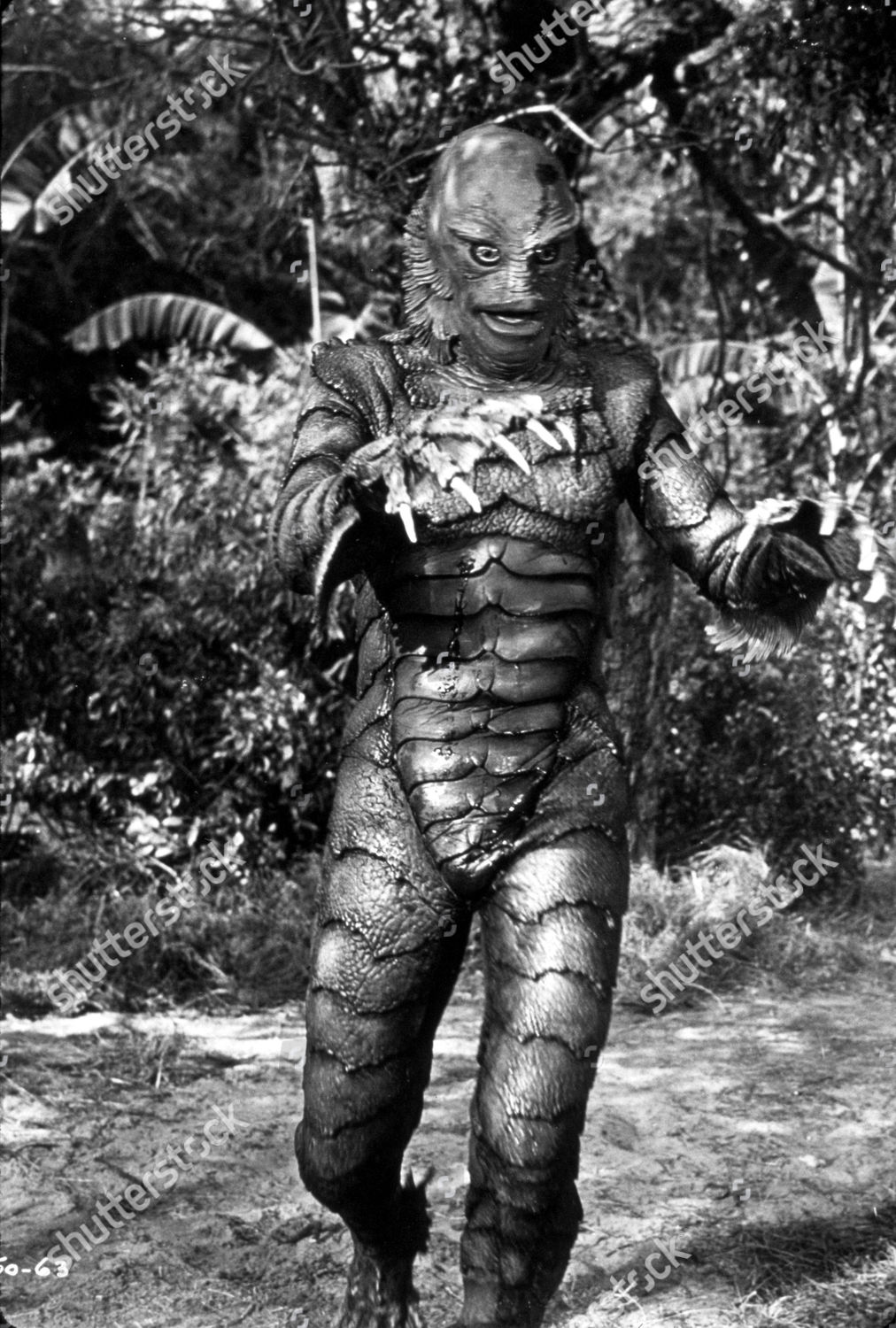 Film Stills Creature Black Lagoon 1954 Ricou Editorial Stock Photo Stock Image Shutterstock